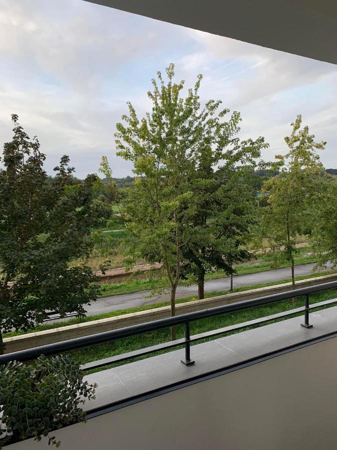 Apartman Diamond Paraćin Eksteriør bilde